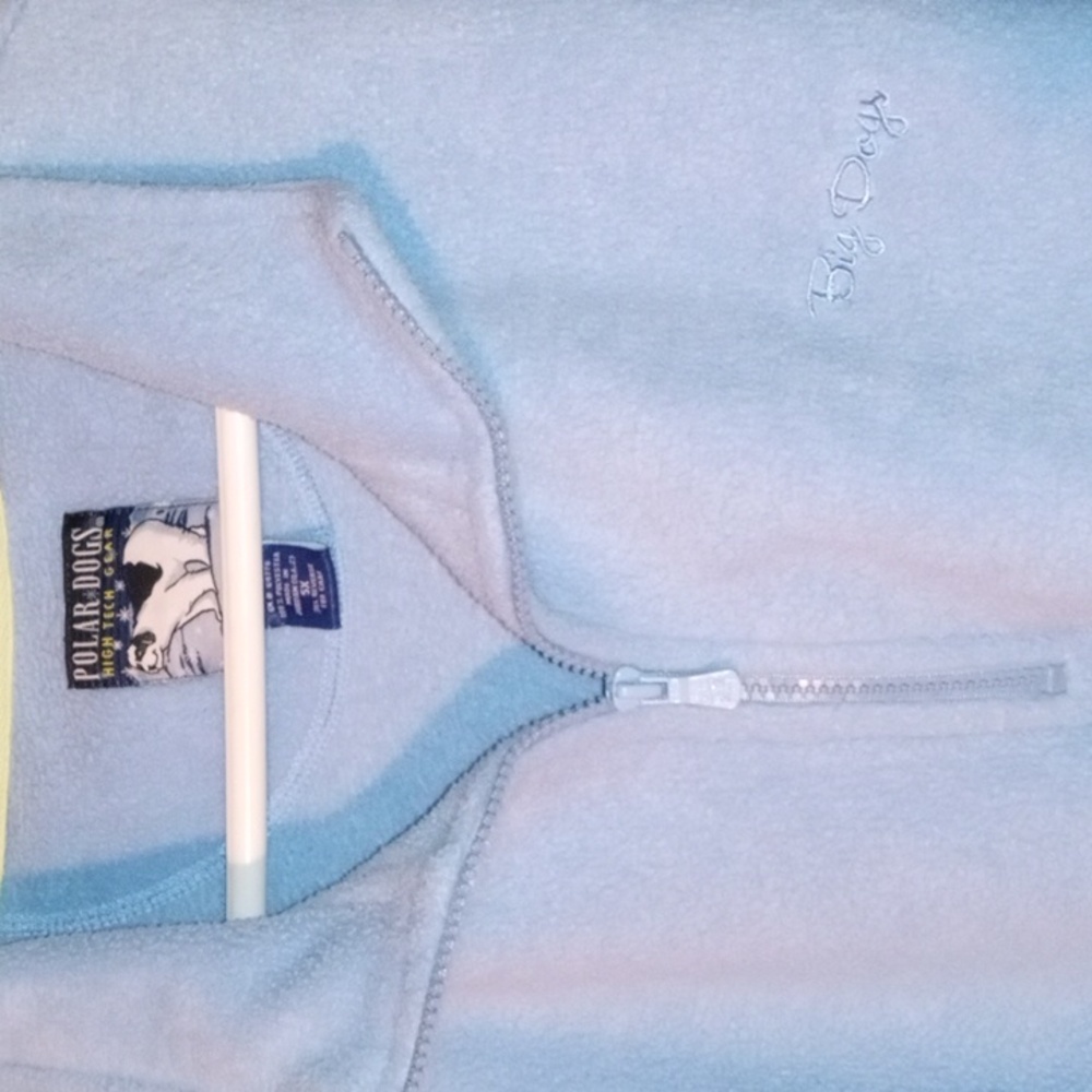 Big dogs 5x pull over
